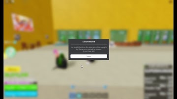 Getting kicked in blox fruits in 23 seconds ( SPEEDRUN )