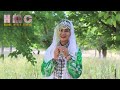 عجب تانسته بافه دلبر مه صفدر توکلی عجب تانسته بافه دلبر مه صفدر توکلی
