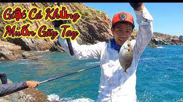 VUONG LT VLOG Câu Cá Biển | Cá Giò _ Cá Dìa Khủng | Nấu Ăn Trên Đảo | Phần 1 | @vuongltvlog