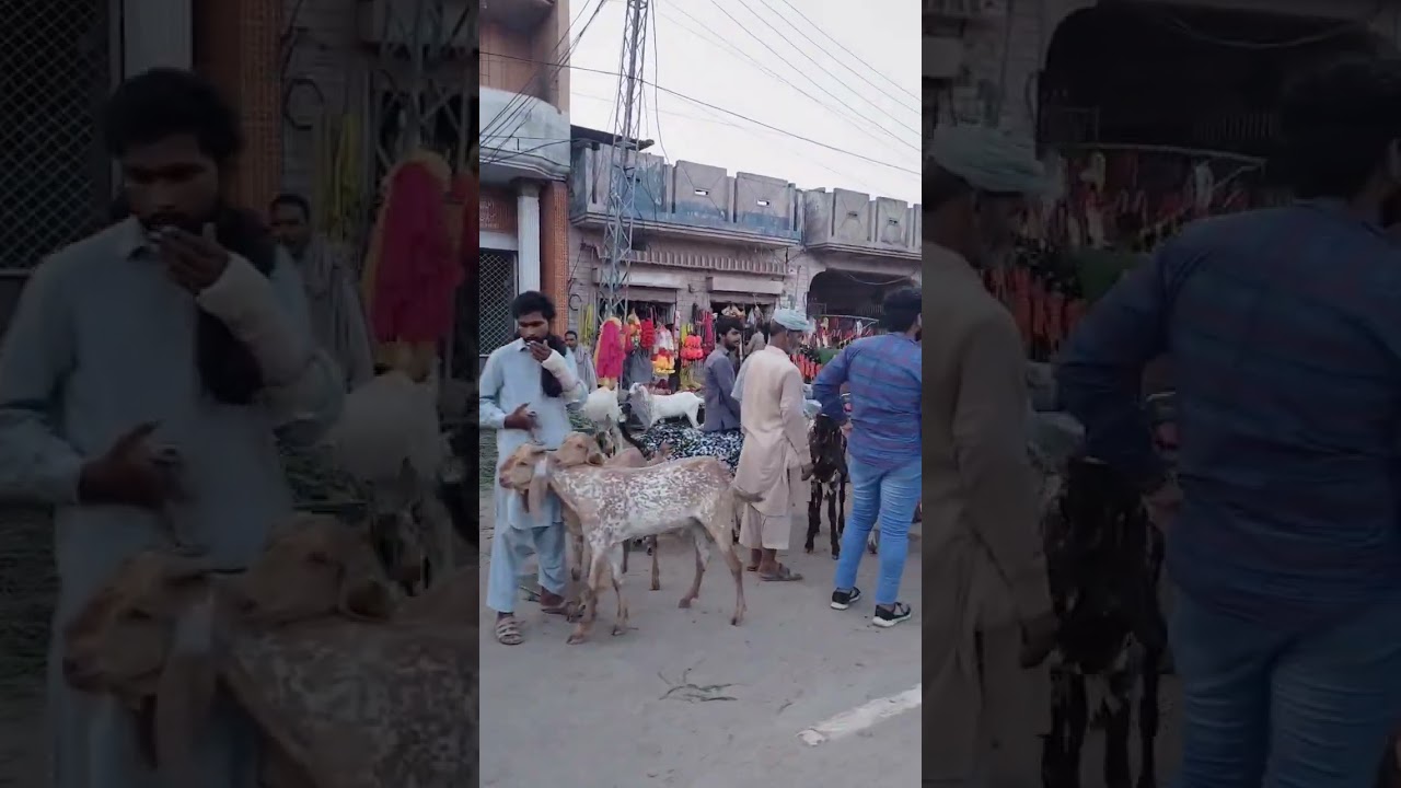 aimnabad road sialkot 