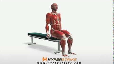 Exercise Videos- Alternating Hammer Curl -- Seated