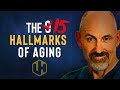 9 HALLMARKS OF AGING? Scientists Have Proposed 6 More. [2023]