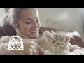 Say Yes to Pets