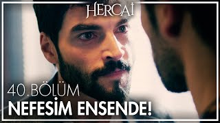 Miran, Aslan'a hesap soruyor! - Hercai 40. Bölüm