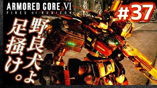 【ランクマッチ：野良犬よ足掻け】#37 アーマードコア6（AC6）【ARMORED CORE VI】【髭熊猫】