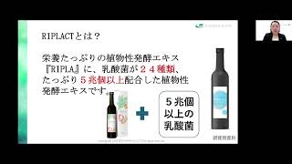 新品 MAJOR マジョール リプラクト 500ml 2本セット RIPLACT リプラクト 500ml - ESTEAQUE(エスティーク)