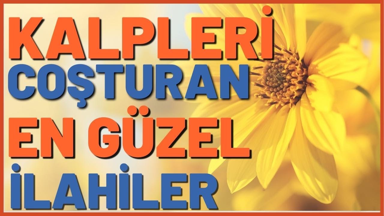 Bülbül Güle Konar Ulu Mevlayı Anar Ben Aşık Olamadım Yüreğim Ona Yanar | İLAHİ ŞÖLENİ