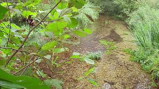 River in the rain: WATER element sensory video, Meditation music 432hz