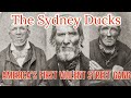 The sydney ducks  street gang