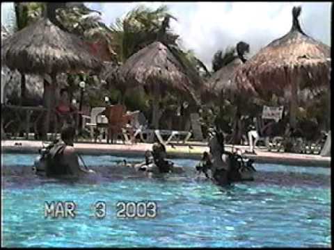 video phone beyonce mp3 Mexico trip 2003 scuba diving class