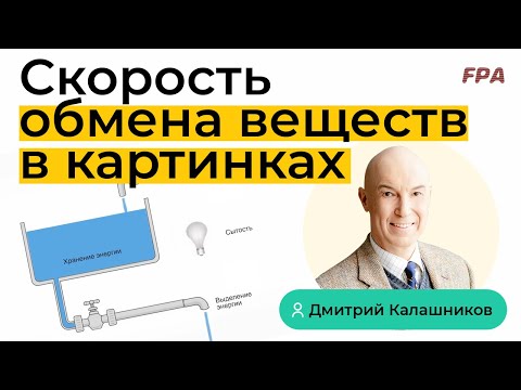 Быстрый и медленный обмен веществ | Дмитрий Калашников