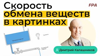 Быстрый и медленный обмен веществ | Дмитрий Калашников