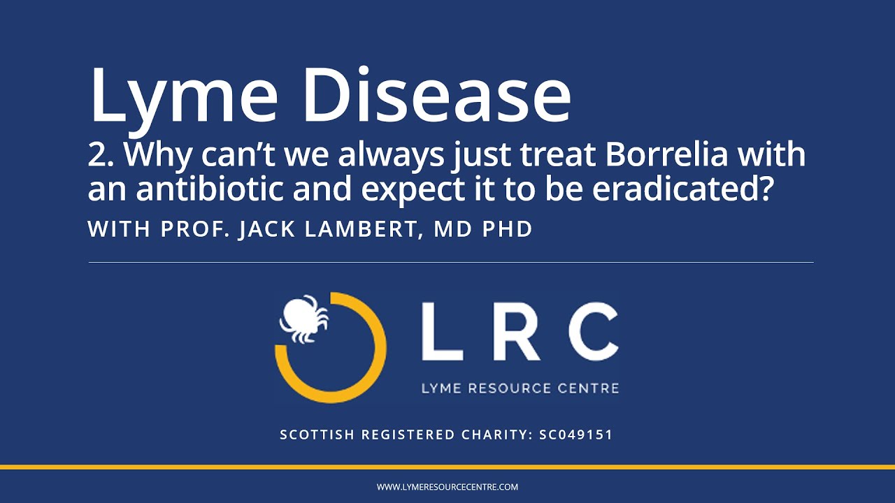 Lyme Disease - Small Bites for GPs 2: Why can’t we expect to eradicate Borrelia with antibiotics?