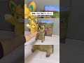 So Good He Lost His Mind! #marmot #mamochi