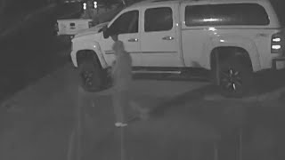 Crime On Rise In Denver Metro Area During Stay-At-Home Order