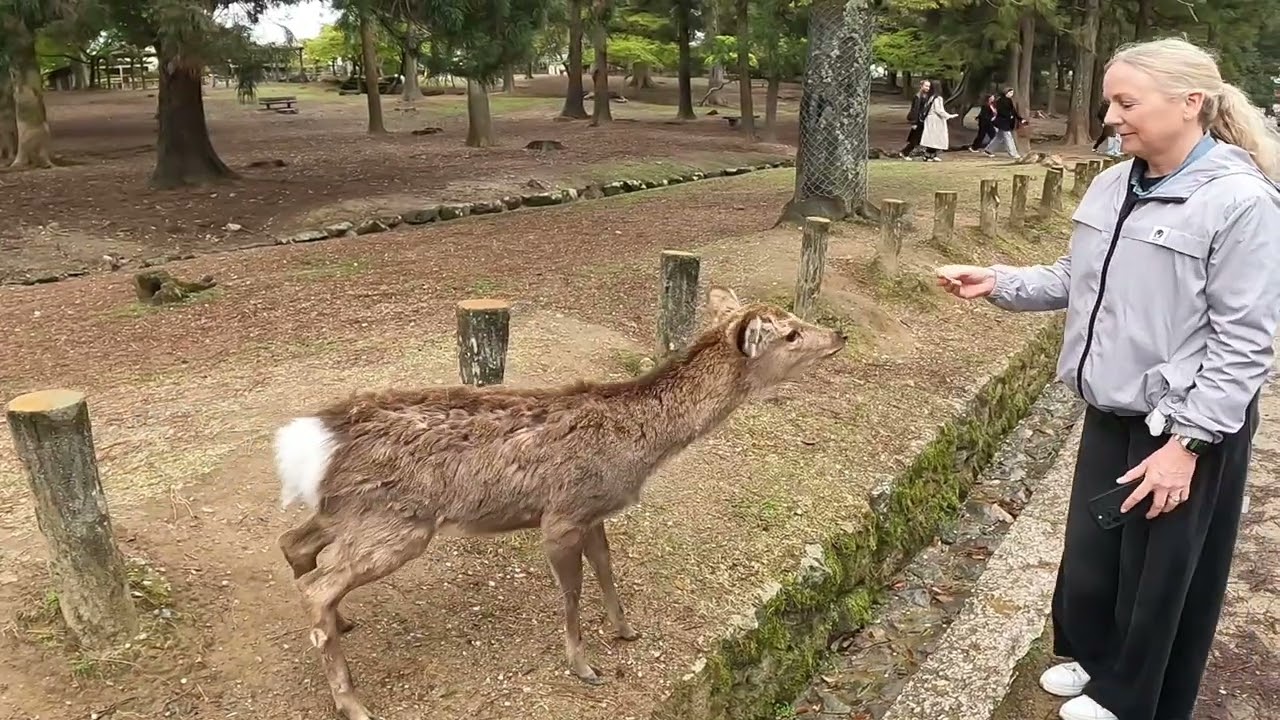 Japan - Nara and Todaiji Temple