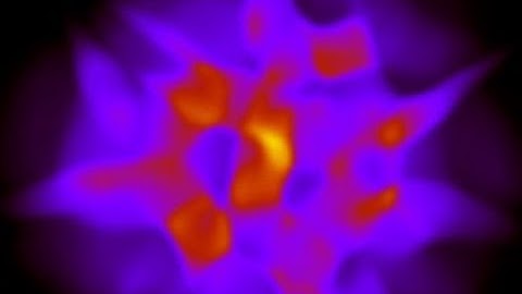 D. T. Son - Hydrodynamics and quantum anomalies