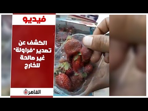 الكشف عن تصدير فراولة غير صالحة للخارج