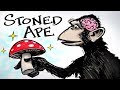 Stoned Ape & Fungal Intelligence - Paul Stamets