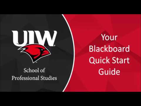 Blackboard Quick Start Guide