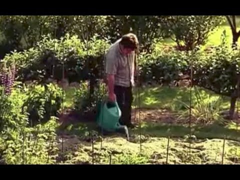 Vidéo: En savoir plus sur les clubs et sociétés de jardinage