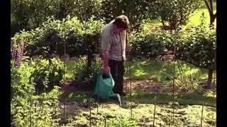 Mon potager : la garantie de produits frais