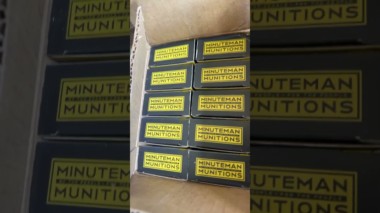Best subsonic 300blk out ammo and affordable