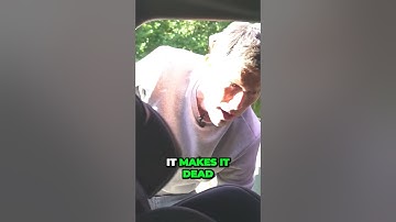 Uncovering Shocking Secrets  What You Didn t Know About the MG4 Boot