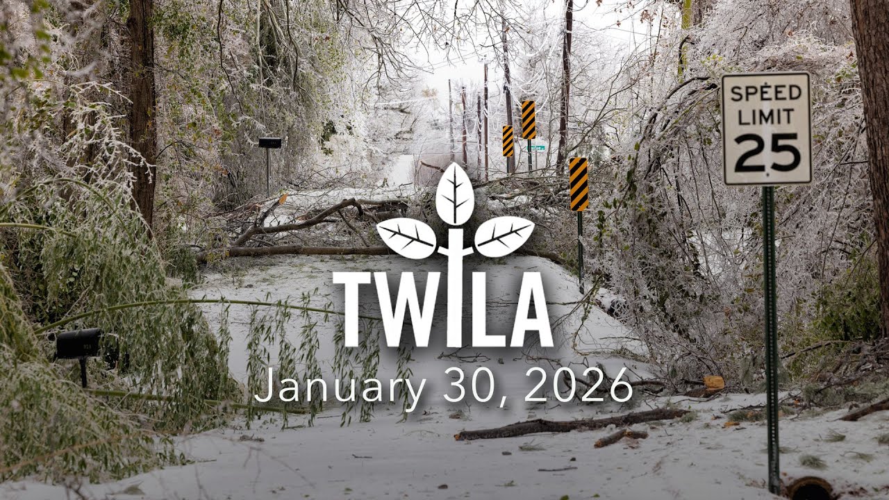 ДЛИТЕЛЬНО — 30 января 2025 г.