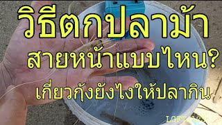 วิธีตกปลาม้า ทำสายหน้าแบบไหน เกี่ยวกุ้งยังไงให้ปลากิน LGFT#123