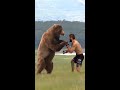 The moment the bear realized Khabib would win #shorts