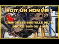 Tuto  change les courroies de ta ducati 1000  ou 1100 tout seul comme un grand