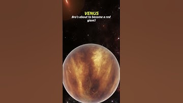 What If the Sun Died Tomorrow? 🌞#sun #space #shorts