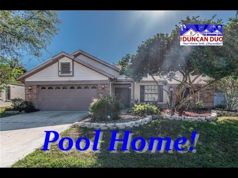 530 RAPID FALLS DR, Brandon, FL home video tour