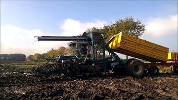 Raven - SBGuidance on Self propelled cabbage harvester - Kooloogstmachine -  Glas akkerbouw