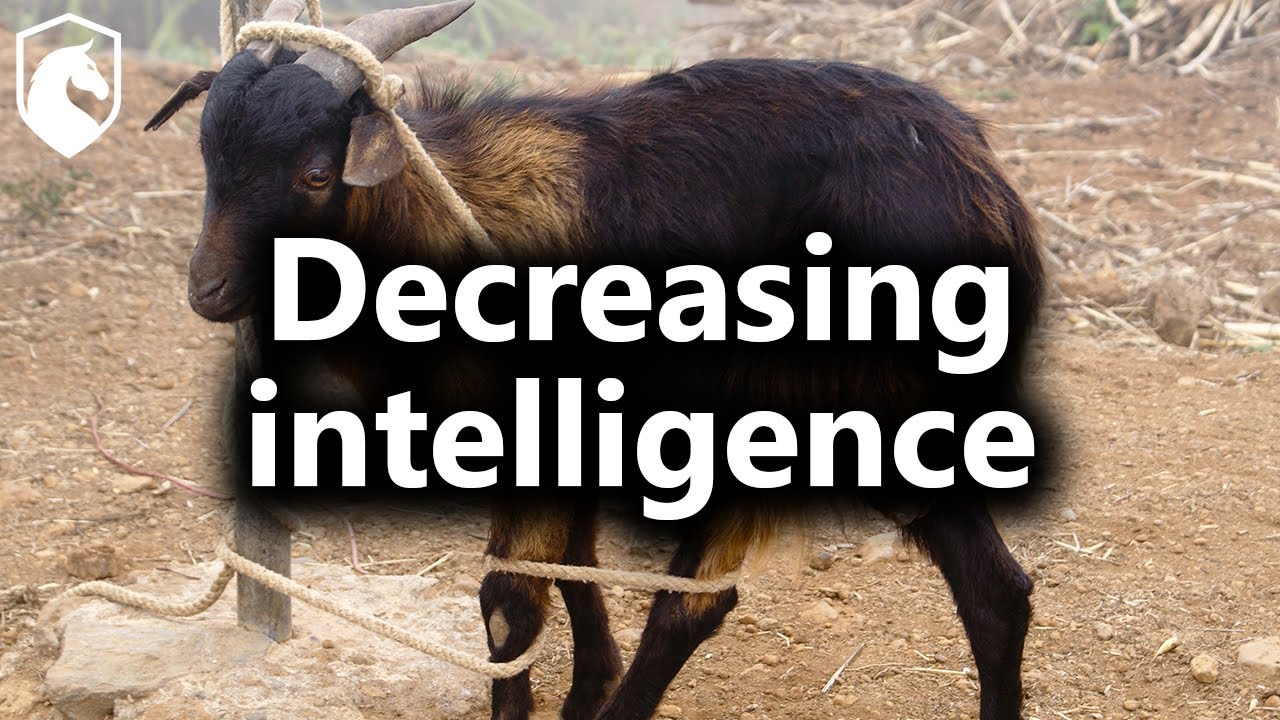 Are there any species that decrease intelligence as they evolve? (from ...