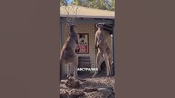 Что вы знаете об острове Ява – Дмитрий Соломенников | Java Rock Star Meetup