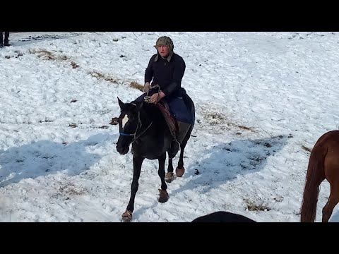 Qashqadaryo viloyati Kitob