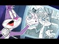 Looney Tunes em Português | Brasil | O Cara &quot;Eu Gosto Disso&quot; | WB Kids