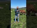 Shorts | Familie Robert (Ferme de Tourbières) | Futter | Bim Milchbuur | Swissmilk (2023)