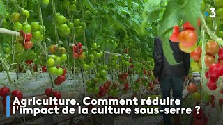 Agriculture. Comment réduire l'impact de la culture sous-serre ?