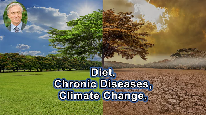 Diet: The Common Denominator For Chronic Diseases,...