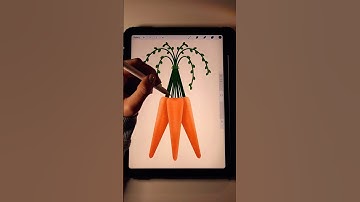 Procreate Carrot Illustration on Ipad