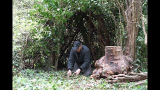 : Building Warm Bushcraft Camp, Campfire Cooking, Solo Off Grid, wilderness camping