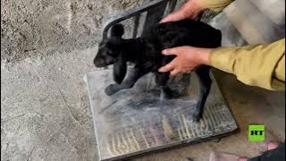 66ae6e204236041f1b3bf64a