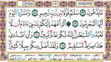 القرآن الكريم مقسم صفحات | الشيخ حاتم فريد | سورة يس | صفحة 444 مكتوبة | مصحف التجويد الملون