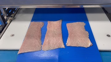 How To Cut Three Layers 3.3mm Tenderloin on VER Food Solutions Meat Horizontal Slicing Machine?