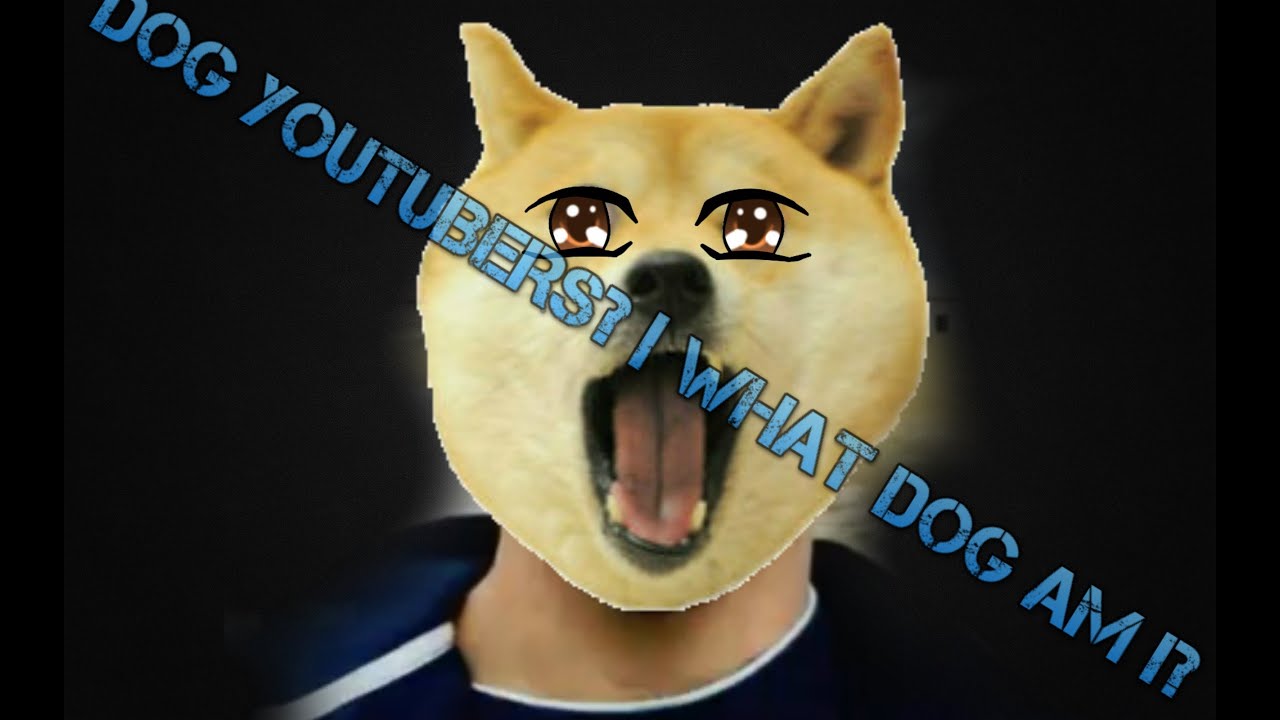 DOG YOUTUBERS? What Dog am I? YouTube