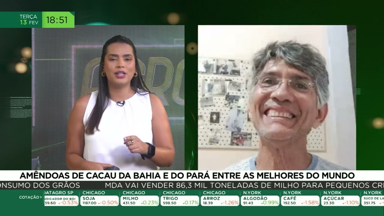 Amêndoas de cacau da Bahia e do Pará entre as melhores do mundo