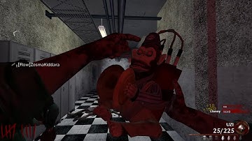 Dixmor Asylum - Call of Duty World at War Custom Zombies